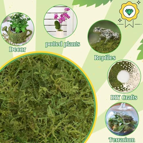 Halatool 2.2LBS Forest Green Moss for Indoor Potted Plants, Orchid Potting Mix, Indoor Potting Plant Moss for Repotting Terrariums Garden Reptiles - size: 2.2lb