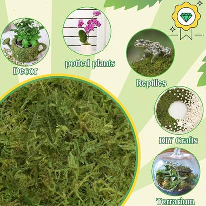 Halatool 2.2LBS Forest Green Moss for Indoor Potted Plants, Orchid Potting Mix, Indoor Potting Plant Moss for Repotting Terrariums Garden Reptiles - size: 2.2lb