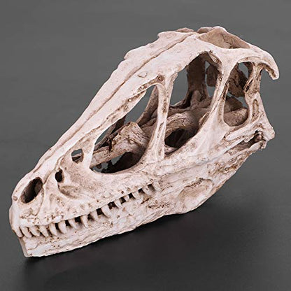 CHICIRIS Resin Dinosaur Skull, Detailed Skeleton Model Statue for Aquarium, Terrarium, Fish Tank Decor ¨C Perfect for Home, Office, Classroom or Aquarium Enthusiasts