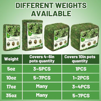 5oz Natural Green Moss for Plants Indoor - Dried Forest Real Moss for Crafts, Artificial Fairy Gardens, Mosswall, Glass Terrariums, Floral Design, Home Decor - style: 5oz