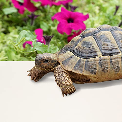 POPETPOP Reptile Carpet Mat for Snake and Lizard Terrarium Non- Bedding Washable Substrate for Bearded Dragons Tortoises and Geckos