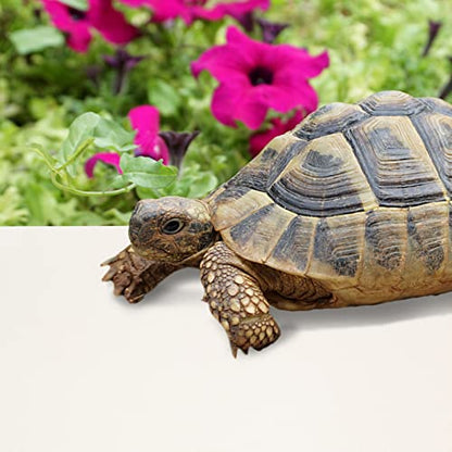 POPETPOP Reptile Carpet Mat for Snake and Lizard Terrarium Non- Bedding Washable Substrate for Bearded Dragons Tortoises and Geckos