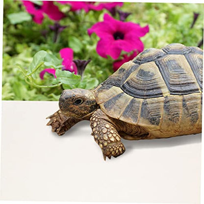 Garneck Reptile Carpet Mat for Leopard Gecko Lizard Snake and Turtle Sturdy Terrarium Substrate Bedding for Reptile Tanks Easy to Clean and Maintain - color: White