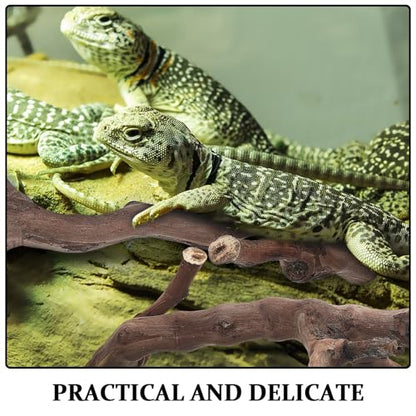 Kisangel 2pcs Snake Climbing Branch, Reptile Tank Natural Wood Cork Log, Reptile Basking Branch for Lizard, Frog, Gecko Terrarium Accessories
