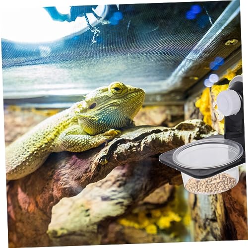 BESPORTBLE Reptile Feeder Lizard Food Bowl Reptile Water Basin Snake Water Bowl Easy Cleaning - size: 7.8X8.5X6.7CM