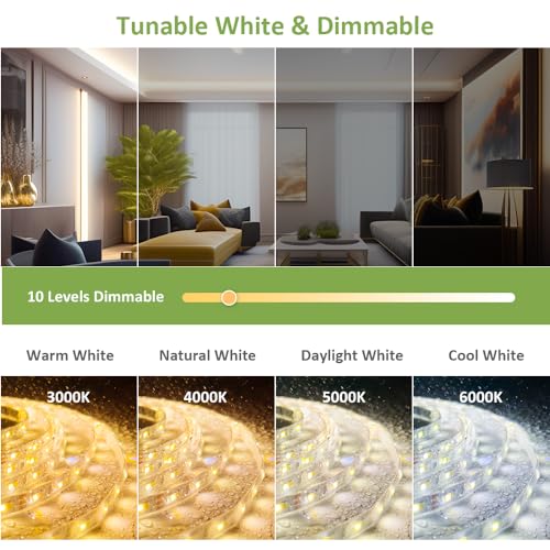 NOVOSTELLA 20ft Waterproof Tunable White LED Strip Lights, Dimmable Flexible Rope Light 3000K-6500K 12V Tape Light with Remote, Ribbon for Outdoor and Indoor Bedroom Home Mirror Kitchen Bar Cabinet - size: 20ft (Waterproof)