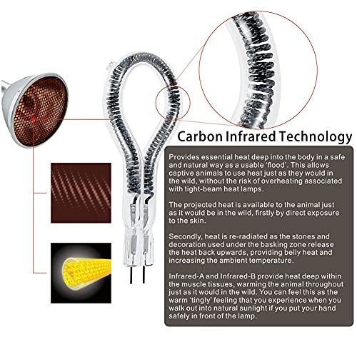 Deep Heat Projector Reptile Heat Lamp Bulb (DHP 75W, PAR30), Basking Light for Bearded Dragon & Leopard Gecko, Carbon Infrared Heater for Amphibian Pet
