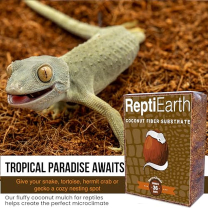 ReptiEarth Reptile Bedding, Fluffy Coconut Fiber Substrate 36 Quart Organic Coco Ready to Use for Bioactive Snake Terrarium, Lizard Tanks with Plants, for Frog, Tarantula or Hermit Crab Habitat (4 Pk) - size: 36 Quart (4 Pack)