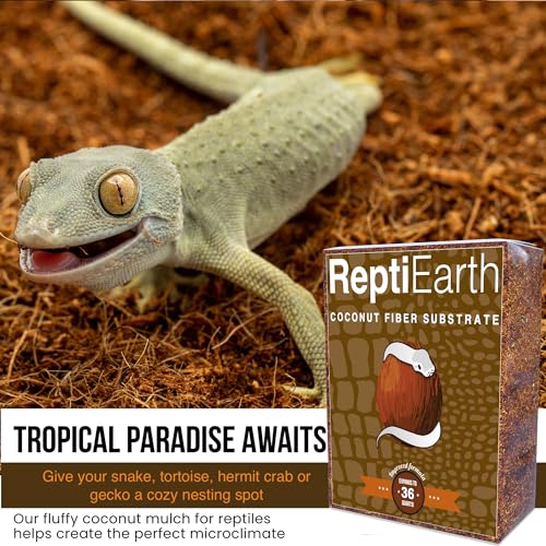 ReptiEarth Reptile Bedding, Fluffy Coconut Fiber Substrate 12 Quart Organic Coco Ready to Use for Bioactive Snake Terrarium, Lizard Tanks with Plants, for Frog, Tarantula or Hermit Crab Habitat - size: 12 Quart