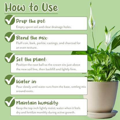 Soil Sunrise Aroid Plant Potting Soil Mix (8 Quarts) for Pothos Devil's Ivy, ZZ Plant, Chinese Evergreen, Dumb Cane Philodendron, Syngonium, Alocasia, Colocasia Etc.