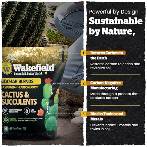 Wakefield Biochar Blend Potting Mix for Cactus & Succulent – Premium Potting Soil Blend with CarbonBoost Technology for Superior Drainage, Moisture Retention & Root Growth – 4 QT Organic Soil Mix - size: 4 Quart