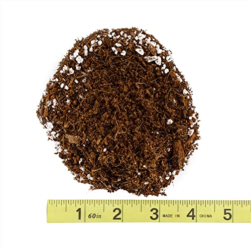 Soil Sunrise Coco Peat Perlite Potting Mix (4 Quarts) Loose Coconut Coir and Perlite