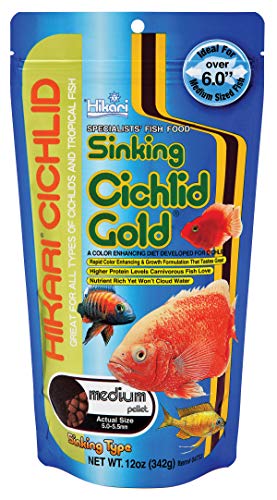 Hikari 12-Ounce Sinking Cichlid Gold Pellets for Pets, Medium - color: Gold, size: 12 Ounce (Pack of 1)