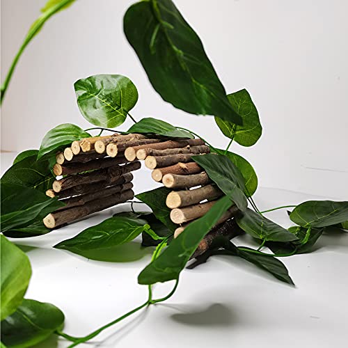 Hamiledyi 11.8 x 6.7 Inches Wooden Reptile Hideout Bearded Dragon Bendy Bridge Climbing Ladder Hiding Hut Reptiles Hide Cave Habitat Decor for Lizards Gecko Spiders Snakes Tortoise(Medium)