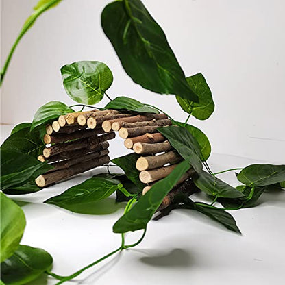 Hamiledyi 11.8 x 6.7 Inches Wooden Reptile Hideout Bearded Dragon Bendy Bridge Climbing Ladder Hiding Hut Reptiles Hide Cave Habitat Decor for Lizards Gecko Spiders Snakes Tortoise(Medium)