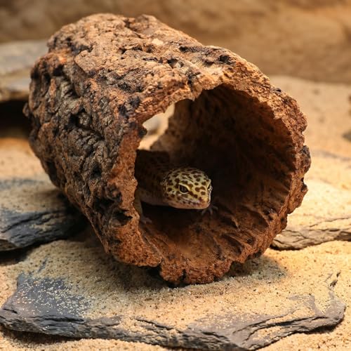 DECHOUS Natural Cork Round Reptile Hideaway - 7. 87x4. 7 Inch Terrarium Decor Tree Bark Reptile Hide Cave for Leopard Gecko Crested Gecko and Amphibians