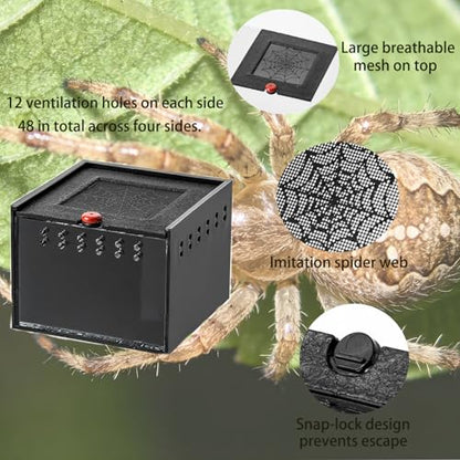 Black Acrylic Spider Feeding Box, Small Insect Breeding Enclosure, Semi-Concealed Cage with Sliding Web Lid, Hand-Held Observation Terrarium for Small Reptiles, Jumping Spiders Enclosure and Scorpions