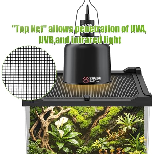 Reptile Terrarium 8"x8"x12" Mini, Front-Opening Glass Tank with Mesh Lid & Lock, 360° Glass Enclosure for Small Reptiles, Frogs, Tarantulas, Jumping Spiders & Geckos - size: 8" x 8" x 12"