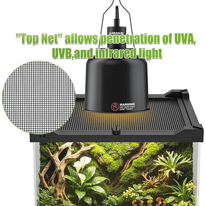 Reptile Terrarium 8"x8"x12" Mini, Front-Opening Glass Tank with Mesh Lid & Lock, 360° Glass Enclosure for Small Reptiles, Frogs, Tarantulas, Jumping Spiders & Geckos - size: 8" x 8" x 12"