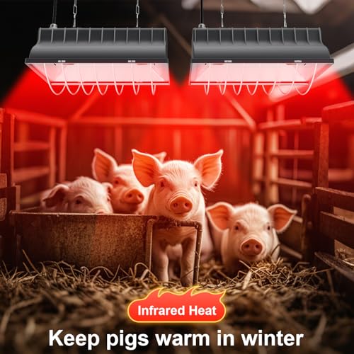2 PACKS Chicken Coop Heater, Aluminum Brooder Heater Lamp for 30 Chicks or Duckling, 4*250 Watts Heating Plate Lamp Tube with 2 Adjustable Temperature & 8 feet Iron Chain for Amphibians Livestock, Pet - color: Grey-2Pack