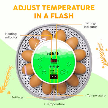 Okkobi M12 Egg Incubator with Automatic Turner and Humidity Control - 12/24 Eggs, 360° View, Easy to Use and Clean - Incubadora de Huevos de Gallina - Made for US - White & Green - color: Green