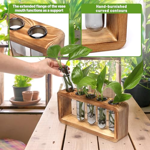 Glass Plant Propagation Station with 5 Test Tubes Colorful Planter Vase Birthday Gifts for Women in Wooden Stand - color: Gray