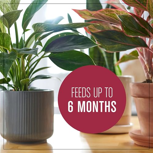 Miracle-Gro Houseplant Potting Mix - Fertilized Indoor Plant Soil for Containers, Designed to be Less Prone to Gnats, 4 qt. - size: 1 Pack, style: Houseplant