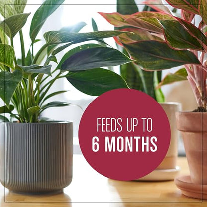 Miracle-Gro Houseplant Potting Mix - Fertilized Indoor Plant Soil for Containers, Designed to be Less Prone to Gnats, 4 qt. - size: 1 Pack, style: Houseplant