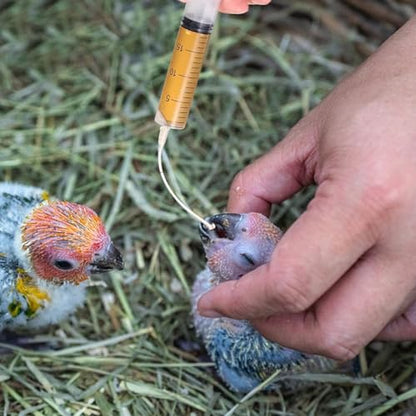 Baby Bird Feeding Syringe Set, Pet Parrot Milk Feeding Syringe with Tubes, Parrot Feeding Tubes Measuring Tools for Feeding Pets Scientific Industrial Labs… (10ml+20ml+60ml) - color: 10ml+20ml+60ml