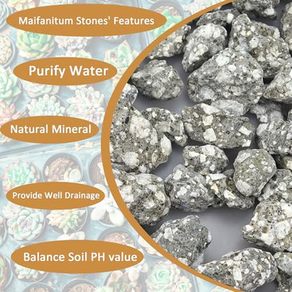 Succulent Cactus Soil Potting Mix:Indoor Bonsai Soil for Plants,Orchid Potting Mix,Aquarium Rocks for Fish Tank,Gardening DIY Gravel for Plants,Drainage and Breathable,2.2 lbs/1kg (2.2 lbs) - style: 2.2 lbs