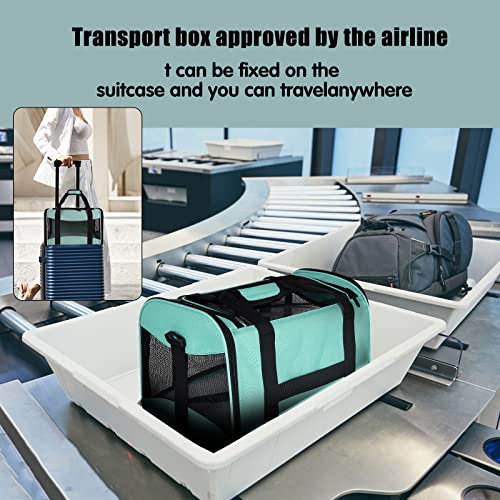 Cat Dog Carriers Soft-Sided Pet Carrier Large Cats for Medium Big Cat Small Dog Puppy up to 16lbs TSA Airline Approved Animal Collapsible Cat Carrier Carriers Travel Carrier Cat Bag (17x11x11) - color: green, size: 17.0"L x 11.0"W x 11.0"H
