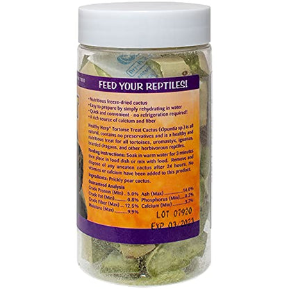 Healthy Herp Tortoise Treat Cactus, Nutritious Turtle Food - 0.25 oz (7.1g) | All Natural, Bearded Dragon Tank Accessories, Tortoise Habitat - for Bearded Dragons, Box Turtles, Aquatic Turtles