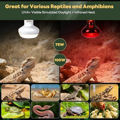Reptile Heat Lamp Bulbs, 2 Pack 100W Reptile Heat Bulbs UVA Daylight Basking Bulb and Infrared Heat Lamp Red Night Light Bulb Combo for Bearded Dragon Chameleon Turtle Snake Gecko Lizard Chicken Tank - color: White & Red, size: Day & Night-100