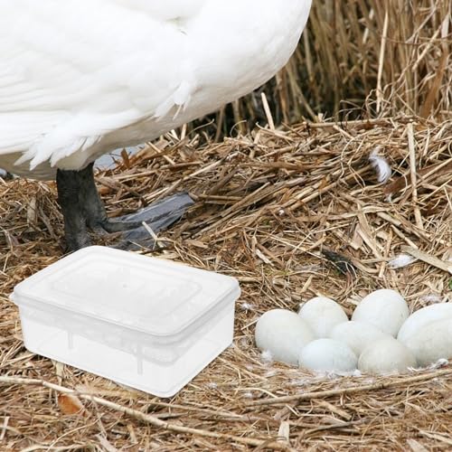 2pcs Reptiles Egg Incubator Habitat Cage Feeding Hatching Container Incubator Reptile Breeding Box 16 Holes Portable Plastic Mini Pet Houses for Hatching Reptile Spider Snake