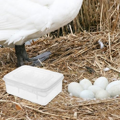 2pcs Reptiles Egg Incubator Habitat Cage Feeding Hatching Container Incubator Reptile Breeding Box 16 Holes Portable Plastic Mini Pet Houses for Hatching Reptile Spider Snake