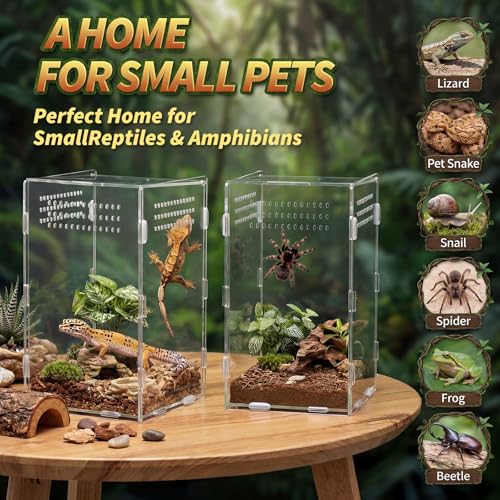 Hushee 2 Pcs Acrylic Jumping Spider Enclosure, 360° Clear Ventilated Reptile Terrarium View, Easy Assembly Secure Pet Habitat, Perfect for Mantis, Frog, Tarantula, Gecko and Small Reptiles