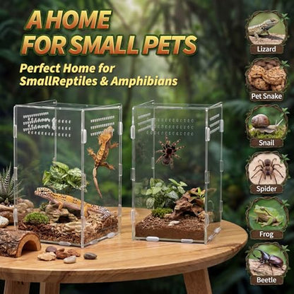 Hushee 2 Pcs Acrylic Jumping Spider Enclosure, 360° Clear Ventilated Reptile Terrarium View, Easy Assembly Secure Pet Habitat, Perfect for Mantis, Frog, Tarantula, Gecko and Small Reptiles