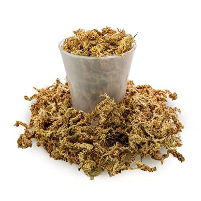 GARDENERA Premium Sphagnum Moss - Organic Hand Mixed New Zealand Long Fibered Sphagnum Moss Orchid - 5 Quart Bag - size: 5 QUART