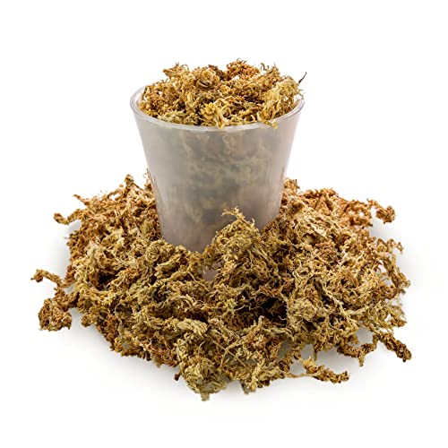 GARDENERA Premium Sphagnum Moss - Organic Hand Mixed New Zealand Long Fibered Sphagnum Moss Orchid - 4 Quart Bag - size: 4 QUART