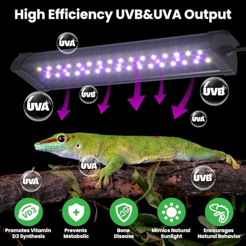 GlowUp 12 Inch 10W Dimming LED UVB Light for Reptiles, UVB 20.0/10.0/5.0/Purple Light, 3 Light Modes, Timer, UVA UVB Reptile Lamp for Tropical & Desert Reptile, Bearded Dragons, Turtles, Snakes