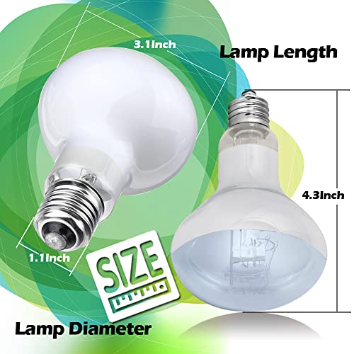 Reptile Heat Lamp Bulbs 100W 2 Pack Basking Light Heat Bulb for Reptiles,UVA Daylight Heating Lamp for Bearded Dragon,Lizard,Turtle,Chicken Pet Brooder with Digital Temperature Thermometer