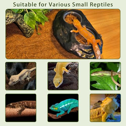 Tfwadmx Magnetic Reptile Feeder Ledge, Gecko Feeder Ledge with 4 Cups Reptile Feeding Bowl Terrarium Accessories for Geckos Lizards Chameleons Frog (Black) - color: Black