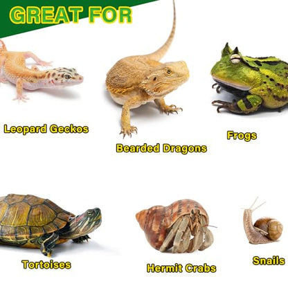4 Pack Reptile Food and Water Bowls, Colorful Small Reptile Feeding Dishes for Leopard Gecko, Bearded Dragon, Lizard, Frog, Tortoise, Hermit Crab, Snail