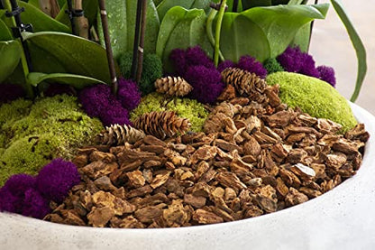 SuperMoss (23114) Orchid Potting Bark,Natural,4 quarts,(Pack of 8) - size: 200 Cu. In., style: Natural