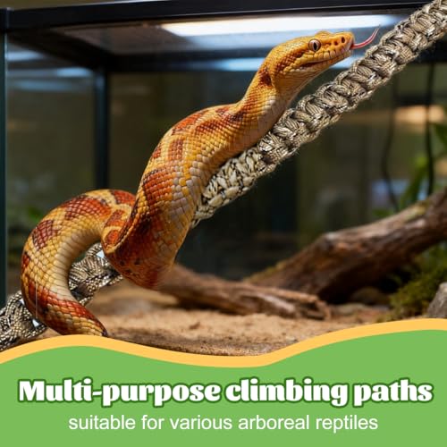 2 Pcs Snake Climbing Accessories, Reptile & Snake Climbing Ring Set with Suction Cups, Enrichment Toy for Ball Python, Corn Snake, Bearded Dragon, Lizard Tank Accessories