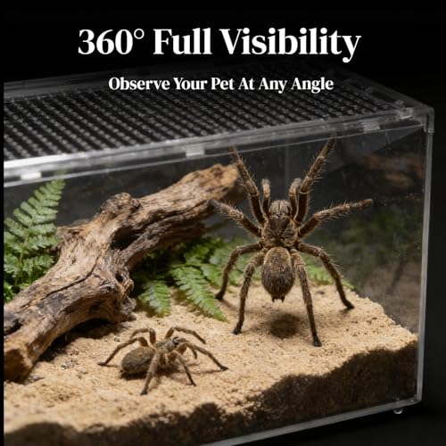 Tarantula Enclosure, Magnetic Escape-Proof Habitat for Tarantulas | 12×8×6" Clear PC Terrarium with Sliding Lid & 360° View, Ideal for Hermit Crabs, Isopods, Beetles & Large Invertebrates - size: A-M(12x8x6in)