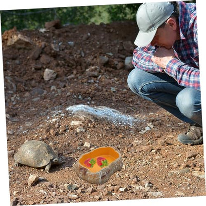 Reptile Water Feeder Durable Pet Drinking Tool for Lizards Geckos Animals Easy to Unique Design for Feeding Hydration Needs