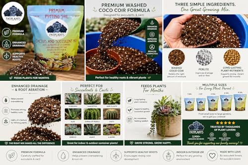 Fat Plants San Diego Premium Cacti and Succulent Potting Mix Soil - for Cactus Palm Tree Citrus Plant Grown in Gardening Containers - Indoors & Outdoors Use - with Natural Food/Fertilizer - size: Gallon