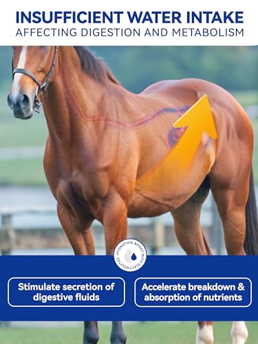 Horse Electrolytes Powder, Electrolyte for Horses with Sodium & Potassium, Equine Hydration Supplement-1400g - size: Big Tub