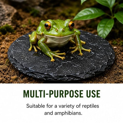 Natural Slate Reptile Basking Platform Feeding Stone for Tortoise Gecko Terrarium Decor(Round Plate) - size: ROUND PLATE